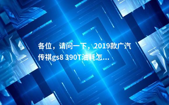 各位，请问一下，2019款广汽传祺gs8 390T油耗怎么